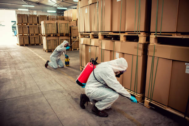Best Local Pest Control Services  in Milton, WI