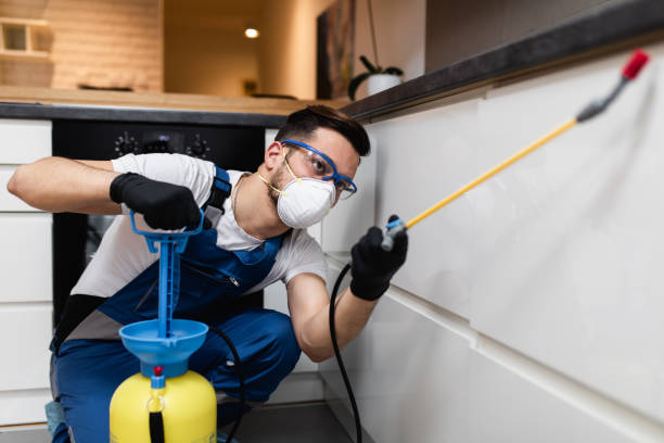 Best Pest Control Near Me  in Milton, WI