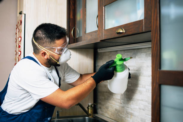  Milton, WI Pest Control Pros