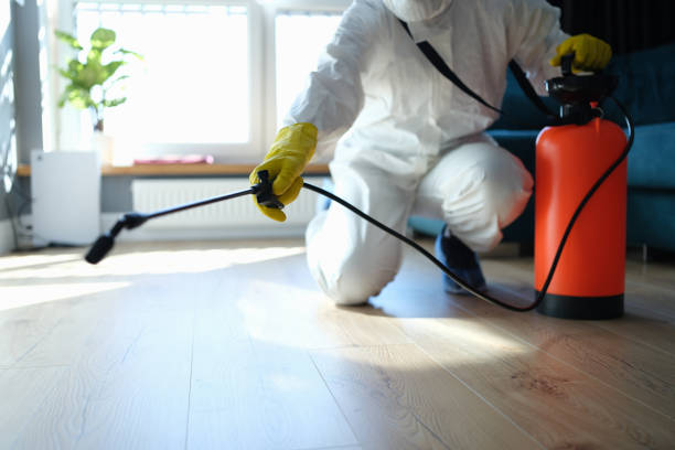 Best Flea Control Services  in Milton, WI