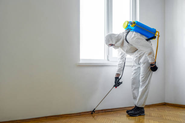 Best Affordable Pest Control Services  in Milton, WI