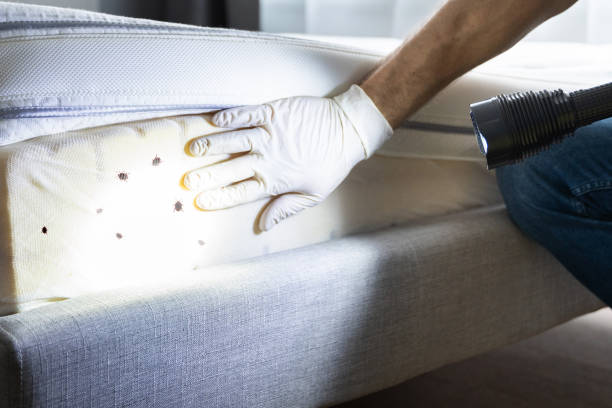 Best Rat Extermination Near Me  in Milton, WI