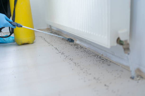 Best Emergency Pest Control  in Milton, WI