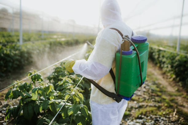 Best Pest Prevention Services  in Milton, WI